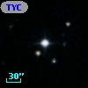 TYC 1724-1564-1