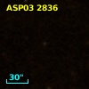 ASP03 2836