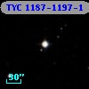 TYC 1187-1197-1