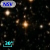 NSV 13651