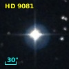 HD   9081