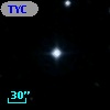 TYC 1197-667-1