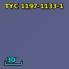 TYC 1197-1133-1