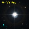 V* VY Psc