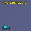 TYC 1207-220-1
