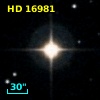 HD  16981