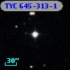 TYC  645-313-1