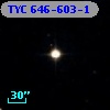 TYC  646-603-1