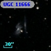 UGC 11666