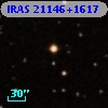 IRAS 21146+1617