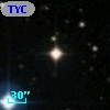 TYC 1650-1911-1