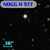 NOGG H  977