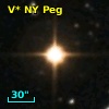 V* NY Peg