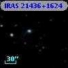 IRAS 21436+1624