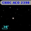 CNOC ACO  2390 100881
