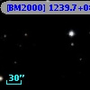 [BM2000] 1239.7+0875.9