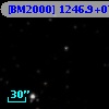 [BM2000] 1246.9+0724.0