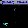 [BM2000] 1230.0+0830.0