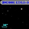 [BM2000] 1231.1+1001.0