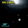 SN 1960L