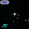 TYC 1684-1013-1
