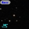 Ross  266