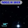 NOGG H 1019