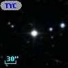 TYC 1703-81-1
