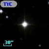 TYC 1703-356-1