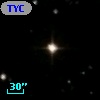 TYC 1704-1175-1