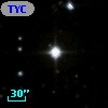 TYC 1704-1312-1