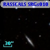 RASSCALS SRGs010
