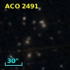 ACO  2491