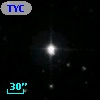 TYC 1705-1175-1