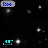 Rood 20