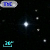 TYC 1184-597-1