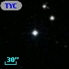 TYC 1184-1004-1