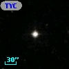TYC 1184-1197-1