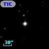 TYC 1184-1642-1