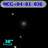 MCG+04-01-036
