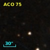 ACO    75