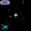 TYC 1195-92-1