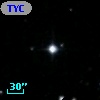 TYC 1195-1297-1