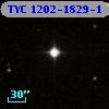 TYC 1202-1829-1