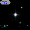 TYC 1203-831-1