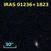 IRAS 01236+1823