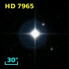 HD   7965