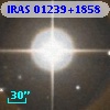 IRAS 01239+1858