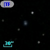 [TFM92] ACO  195 118