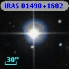 IRAS 01490+1802